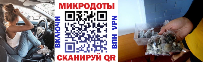 Псилоцибиновые грибы прущие грибы  купить закладку  Петропавловск-Камчатский 